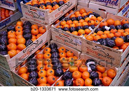 Tangerines, Mercabilbao fruits and vegetables wholesale market, Basauri, Bilbao, Bizkaia, Euskadi, Spain View Large Photo Image Stock Image - Tangerines, Mercabilbao fruits and vegetables wholesale market, Basauri, Bilbao, Bizkaia, Euskadi, Spain. Fotosearch