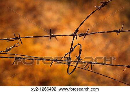 Stock Image - Tangled barbed wire. Fotosearch
