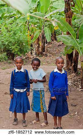 Tanzania Africa Mosquito Village Mto Wa Mbu town village with bananas farms and school children in scholl uniforms aged 6-7 View Large Photo Image Stock Image - Tanzania Africa Mosquito Village Mto Wa Mbu town village with bananas farms and school children in scholl uniforms aged 6-7. Fotosearch