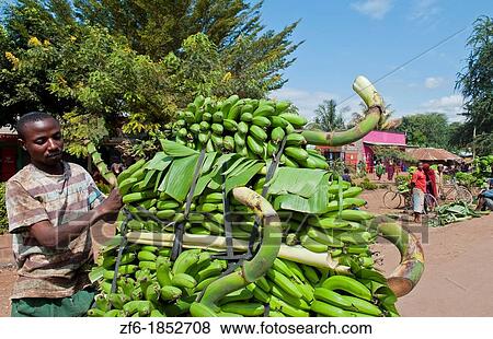 Tanzania Africa Mosquito Village Mto Wa Mbu town poor village with bananas for sale and stores for locals View Large Photo Image Stock Photo - Tanzania Africa Mosquito Village Mto Wa Mbu town poor village with bananas for sale and stores for locals. Fotosearch