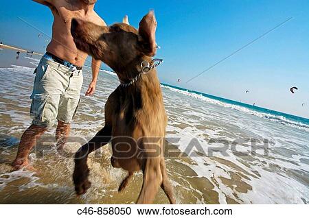 Stock Image - Tarifa. Cadiz province, Andalusia, Spain. Fotosearch
