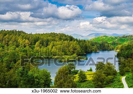 Tarn Hows surrounded by forest in the Lake District near Coniston, Cumbria, England. View Large Photo Image Stock Image - Tarn Hows surrounded by forest in the Lake District near Coniston, Cumbria, England.. Fotosearch
