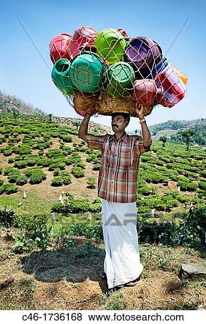 Stock Photo - Tea plantation, Munnar, Kerala, India.. Fotosearch