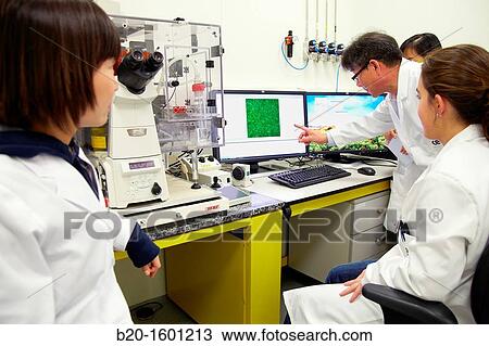 Teacher and students. Inverted optical microscope. View Large Photo Image Stock Image - Teacher and students. Inverted optical microscope.. Fotosearch