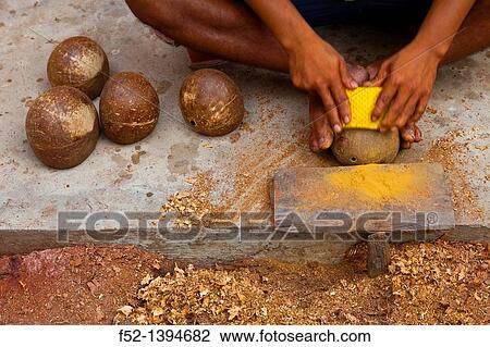 Stock Image - TEAK TREE - TECA Tectona grandis String instrument handicrafts Angkor Siem Reap town, Siem Reap province Cambodia, Asia.. Fotosearch