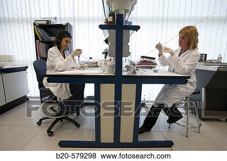 Technical staff working on laboratory bench. Laboratory, Fundaci? n Inbiomed, Genetrix Group. Center for research in stem cells and regenerative medicine. Donostia, San Sebastian, Euskadi. Spain. View Large Photo Image Stock Photo - Technical staff working on laboratory bench. Laboratory, Fundaci? n Inbiomed, Genetrix Group. Center for research in stem cells and regenerative medicine. Donostia, San Sebastian, Euskadi. Spain.. Fotosearch