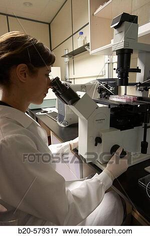 Technical staff working with Olympus IX50 microscope, provided with microinjector and micromanipulator. Laboratory, Fundaci? n Inbiomed, Genetrix Group. Center for research in stem cells and regenerative medicine. Donostia, San Sebastian, Euskadi. Spain. View Large Photo Image Stock Photo - Technical staff working with Olympus IX50 microscope, provided with microinjector and micromanipulator. Laboratory, Fundaci? n Inbiomed, Genetrix Group. Center for research in stem cells and regenerative medicine. Donostia, San Sebastian, Euskadi. Spain.. Fotosearch