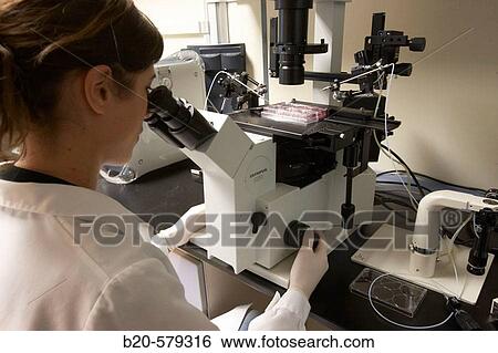 Technical staff working with Olympus IX50 microscope, provided with microinjector and micromanipulator. Laboratory, Fundaci? n Inbiomed, Genetrix Group. Center for research in stem cells and regenerative medicine. Donostia, San Sebastian, Euskadi. Spain. View Large Photo Image Stock Photograph - Technical staff working with Olympus IX50 microscope, provided with microinjector and micromanipulator. Laboratory, Fundaci? n Inbiomed, Genetrix Group. Center for research in stem cells and regenerative medicine. Donostia, San Sebastian, Euskadi. Spain.. Fotosearch