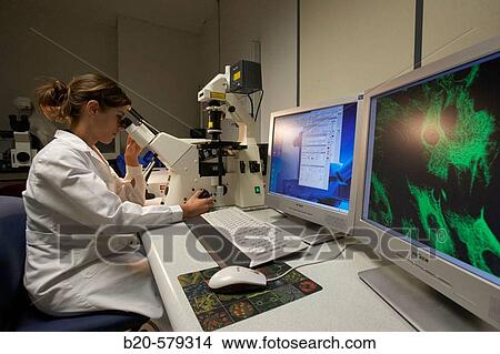 Picture - Technical staff working with Zeiss LSM 510 Meta Confocal Microscope. Laboratory, Fundaci? n Inbiomed, Genetrix Group. Center for research in stem cells and regenerative medicine. Donostia, San Sebastian, Euskadi. Spain.. Fotosearch