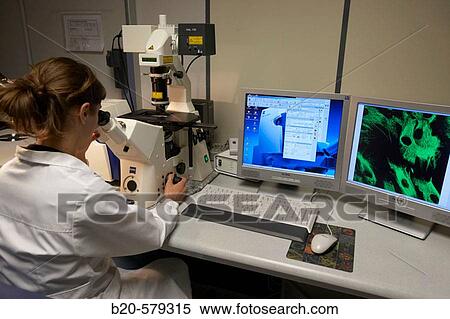 Technical staff working with Zeiss LSM 510 Meta Confocal Microscope. Laboratory, Fundaci? n Inbiomed, Genetrix Group. Center for research in stem cells and regenerative medicine. Donostia, San Sebastian, Euskadi. Spain. View Large Photo Image Stock Photography - Technical staff working with Zeiss LSM 510 Meta Confocal Microscope. Laboratory, Fundaci? n Inbiomed, Genetrix Group. Center for research in stem cells and regenerative medicine. Donostia, San Sebastian, Euskadi. Spain.. Fotosearch