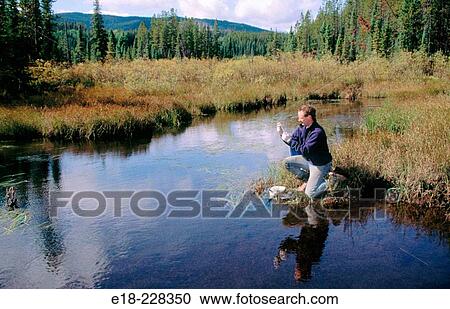 Technician testing water purity for signs of acid mine drainage. Mount Milligan Gold Mine. British Columbia. Canada View Large Photo Image Stock Image - Technician testing water purity for signs of acid mine drainage. Mount Milligan Gold Mine. British Columbia. Canada. Fotosearch