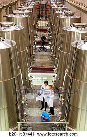 TECNALIA Researchers by sampling wine from Bodegas Baigorri fermentation tanks, Wine Cellar, Samaniego, Araba, Rioja Alavesa, Basque Country, Spain View Large Photo Image Stock Image - TECNALIA Researchers by sampling wine from Bodegas Baigorri fermentation tanks, Wine Cellar, Samaniego, Araba, Rioja Alavesa, Basque Country, Spain. Fotosearch