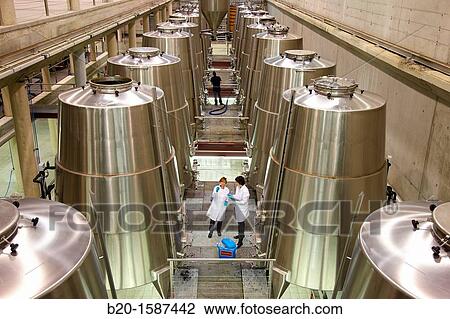 Stock Image - TECNALIA Researchers by sampling wine from Bodegas Baigorri fermentation tanks, Wine Cellar, Samaniego, Araba, Rioja Alavesa, Basque Country, Spain. Fotosearch