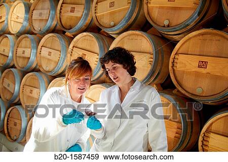 TECNALIA Researchers conducting a quality control of wine during the course of breeding in the barrel cellar, Bodegas Baigorri, Samaniego, Araba, Rioja Alavesa, Basque Country, Spain View Large Photo Image Stock Photo - TECNALIA Researchers conducting a quality control of wine during the course of breeding in the barrel cellar, Bodegas Baigorri, Samaniego, Araba, Rioja Alavesa, Basque Country, Spain. Fotosearch