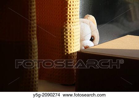 teddy bear soft toy hiding behind curtians in a room View Large Photo Image Picture - teddy bear soft toy hiding behind curtians in a room. Fotosearch