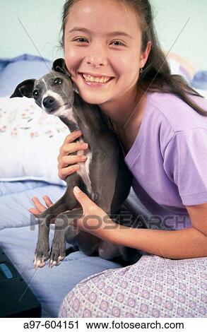Teen girl and Italian Greyhound View Large Photo Image Stock Image - Teen girl and Italian Greyhound. Fotosearch
