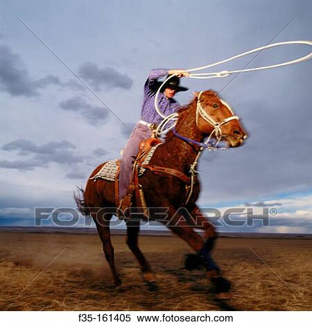 Teenage girl rodeo champion roping on horseback. Colorado. USA View Large Photo Image Stock Photography - Teenage girl rodeo champion roping on horseback. Colorado. USA. Fotosearch