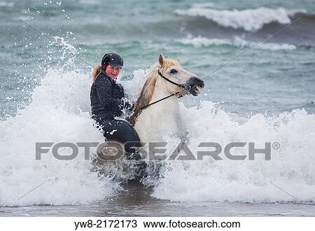 Stock Image - Teenager horseback riding in the sea. Icelandic horse and rider at Longufjorur beach, Snaefellsnes Peninsula, Icelan.. Fotosearch
