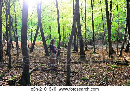 teenager walking around gathering mushrooms, Saint-Leger-en-Yvelines, Forest of Rambouillet, Yvelines department, Ile-de-France region, France, Europe. View Large Photo Image Stock Photograph - teenager walking around gathering mushrooms, Saint-Leger-en-Yvelines, Forest of Rambouillet, Yvelines department, Ile-de-France region, France, Europe.. Fotosearch