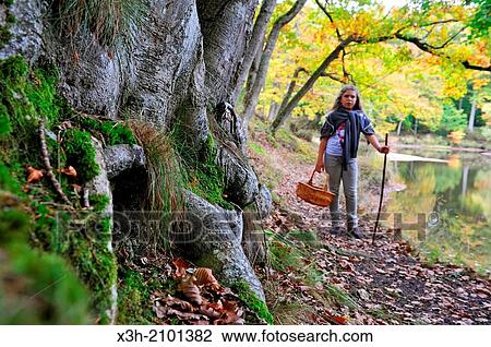 Stock Image - teenager walking around the Vilpert ponds gathering mushrooms, Saint-Leger-en-Yvelines, Forest of Rambouillet, Yvelines department, Ile-de-France region, France, Europe.. Fotosearch