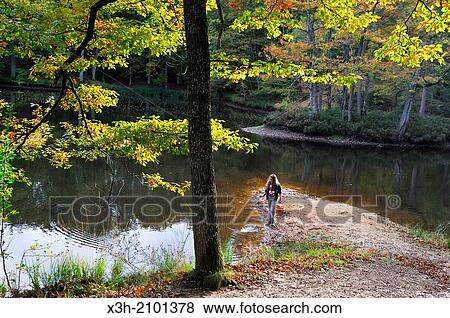 Stock Photo - teenager walking around the Vilpert ponds gathering mushrooms, Saint-Leger-en-Yvelines, Forest of Rambouillet, Yvelines department, Ile-de-France region, France, Europe.. Fotosearch