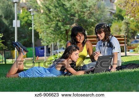 teenagers in the park with a PC View Large Photo Image Stock Image - teenagers in the park with a PC. Fotosearch