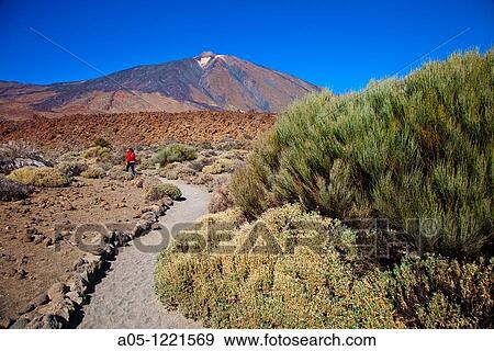 Teide. National Park. Tenerife. Canary Islands. Spain. View Large Photo Image Stock Photo - Teide. National Park. Tenerife. Canary Islands. Spain.. Fotosearch