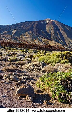 Teide volcano and lava formation. Teide National Park. La Orotava, Tenerife, Canary Islands, Atlantic Ocean, Spain View Large Photo Image Picture - Teide volcano and lava formation. Teide National Park. La Orotava, Tenerife, Canary Islands, Atlantic Ocean, Spain. Fotosearch