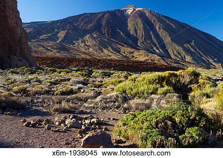 Teide volcano and lava formation. Teide National Park. La Orotava, Tenerife, Canary Islands, Atlantic Ocean, Spain View Large Photo Image Stock Photography - Teide volcano and lava formation. Teide National Park. La Orotava, Tenerife, Canary Islands, Atlantic Ocean, Spain. Fotosearch