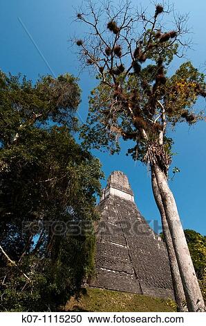 Temple I known also as temple of the Giant Jaguar, Tikal mayan archaeological site, Guatemala View Large Photo Image Stock Image - Temple I known also as temple of the Giant Jaguar, Tikal mayan archaeological site, Guatemala. Fotosearch