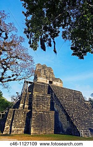 Temple II. Mayan ruins of Tikal. Peten region. Guatemala. View Large Photo Image Stock Photo - Temple II. Mayan ruins of Tikal. Peten region. Guatemala.. Fotosearch