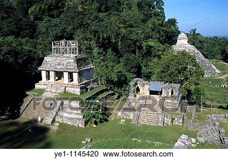Temple of the Sun and Temple of Inscriptions form a group of temples at the Maya ruins of Palenque, Chiapas, Mexico. View Large Photo Image Stock Image - Temple of the Sun and Temple of Inscriptions form a group of temples at the Maya ruins of Palenque, Chiapas, Mexico.. Fotosearch