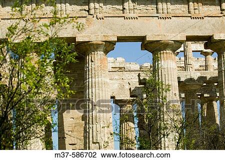 Stock Image - Temple. Paestum. Italy. Fotosearch