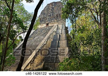 Temple V, Mayan ruins of Tikal Peten region, Guatemala View Large Photo Image Stock Image - Temple V, Mayan ruins of Tikal Peten region, Guatemala. Fotosearch