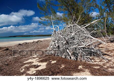 Ten Bay Beach Eleuthera, Bahamas View Large Photo Image Stock Photography - Ten Bay Beach Eleuthera, Bahamas. Fotosearch