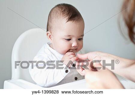 Ten month old girl sitting in her high chair and being fed bits of bread by her mum View Large Photo Image Stock Photo - Ten month old girl sitting in her high chair and being fed bits of bread by her mum. Fotosearch