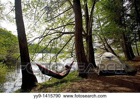 Tent and Hammock - Moran State Park, Orcas Island, Washington View Large Photo Image Stock Image - Tent and Hammock - Moran State Park, Orcas Island, Washington. Fotosearch