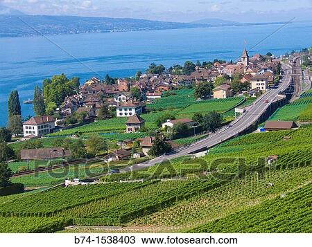 Stock Image - terrace of lavaux, valais, swiss. Fotosearch