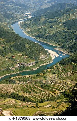 Terraces and rice paddies, Around Rongjiang, Rongjiang, Guizhou, China View Large Photo Image Stock Photo - Terraces and rice paddies, Around Rongjiang, Rongjiang, Guizhou, China. Fotosearch