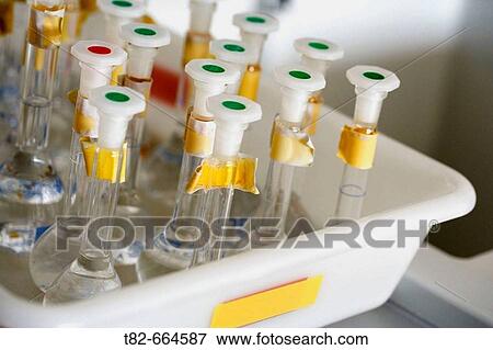 Test tubes on white tray View Large Photo Image Stock Photo - Test tubes on white tray. Fotosearch