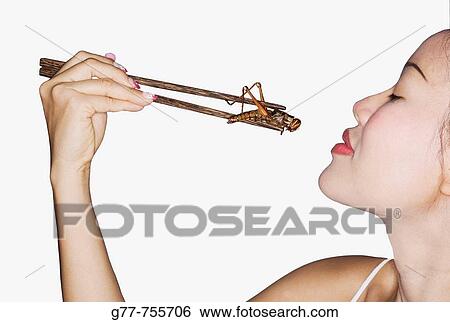 Thailand Bangkok Thai woman eating Grasshopper View Large Photo Image Stock Photograph - Thailand Bangkok Thai woman eating Grasshopper. Fotosearch