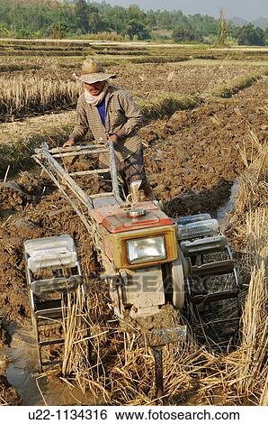 Stock Photograph - Thailand: farmer at work in a field along the road to Mae Salong. Fotosearch