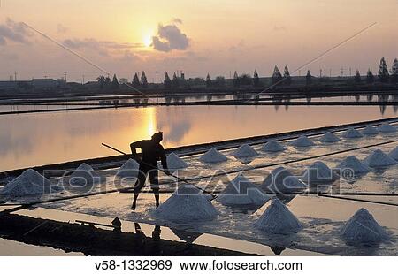 Thailand, Samut Songkhram province, Salt flats, Salt harvest. View Large Photo Image Stock Photo - Thailand, Samut Songkhram province, Salt flats, Salt harvest.. Fotosearch