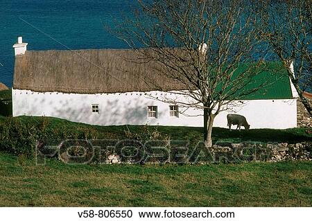 THATCHED COTTAGE, COUNTY DONEGAL, IRELAND View Large Photo Image Stock Image - THATCHED COTTAGE, COUNTY DONEGAL, IRELAND. Fotosearch