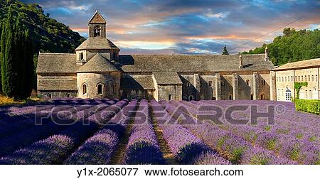 Stock Photo - The 12th century Romanesque Cistercian Abbey of Notre Dame of Senanque ( 1148 ) set amongst the flowering lavender fields of Provence near Gordes, France.. Fotosearch