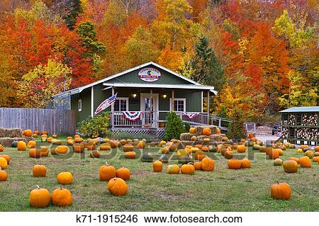 The Aadawegamik Trading Post selling pumpkins near Munising, Michigan, USA View Large Photo Image Stock Photograph - The Aadawegamik Trading Post selling pumpkins near Munising, Michigan, USA. Fotosearch