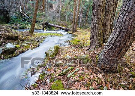 The Acebedas river in the Sierra de Guadarrama Segovia Castilla Le? n Spain View Large Photo Image Picture - The Acebedas river in the Sierra de Guadarrama Segovia Castilla Le? n Spain. Fotosearch