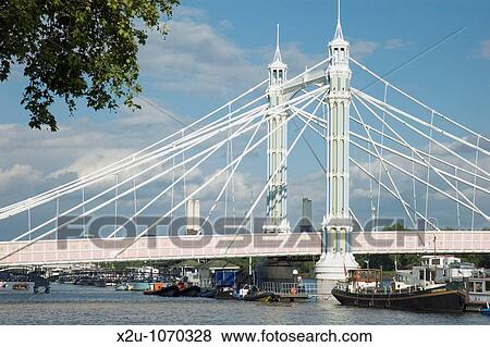 The Albert Bridge on the River Thames, Chelsea, London, England View Large Photo Image Stock Photo - The Albert Bridge on the River Thames, Chelsea, London, England. Fotosearch