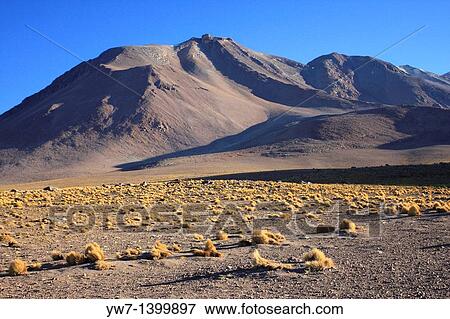 The Andes seen from vicinity of Ollague, Antofagasta region, Chile View Large Photo Image Stock Photo - The Andes seen from vicinity of Ollague, Antofagasta region, Chile. Fotosearch