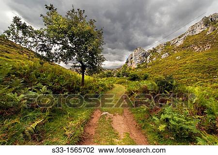 Stock Image - The Arredondas road in Brez Cordillera CantBbrica Santander Cantabria Spain. Fotosearch